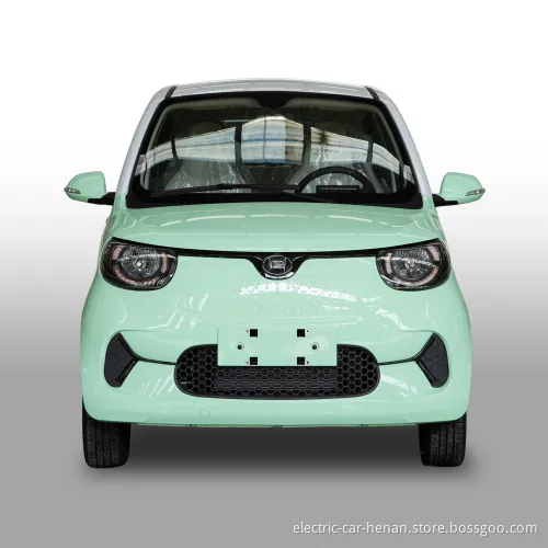 Family Polular Rhd Minn New Energy Vehicle